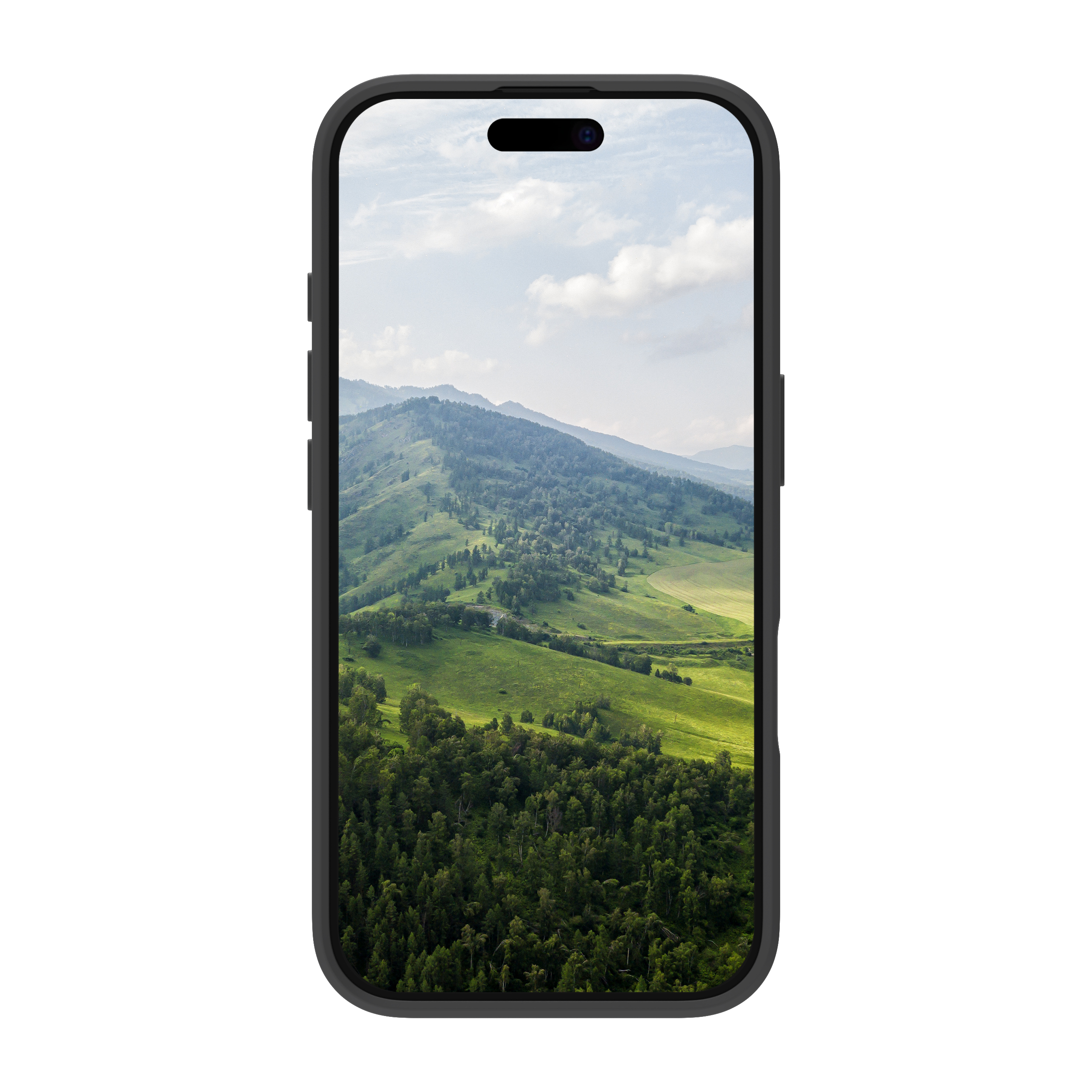 dbramante1928 Bulk - Nuuk custodia per cellulare 17,5 cm (6.9) Cover Nero