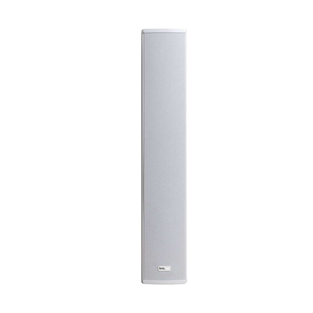 Biamp Desono COLW41 - Lautsprecher - f�r PA-System - 40 Watt - zweiweg - wei� (Grill Farbe - RAL 9016, wei�)