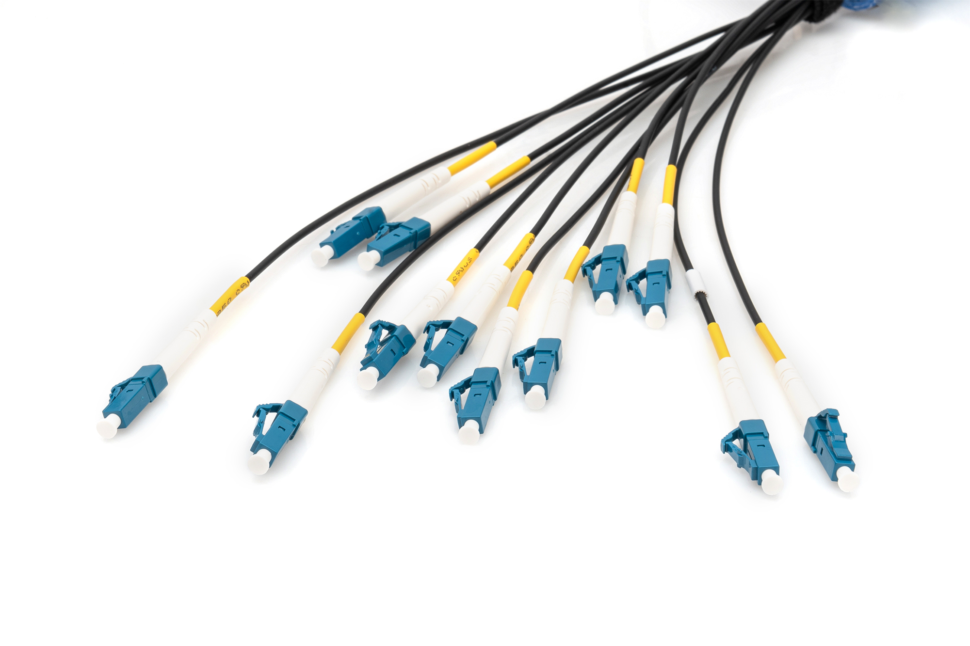 Digitus Cables Breakout de fibra �ptica universales preconfeccionados, multimodo OS2, 12 fibras, LC/UPC - LC/UPC