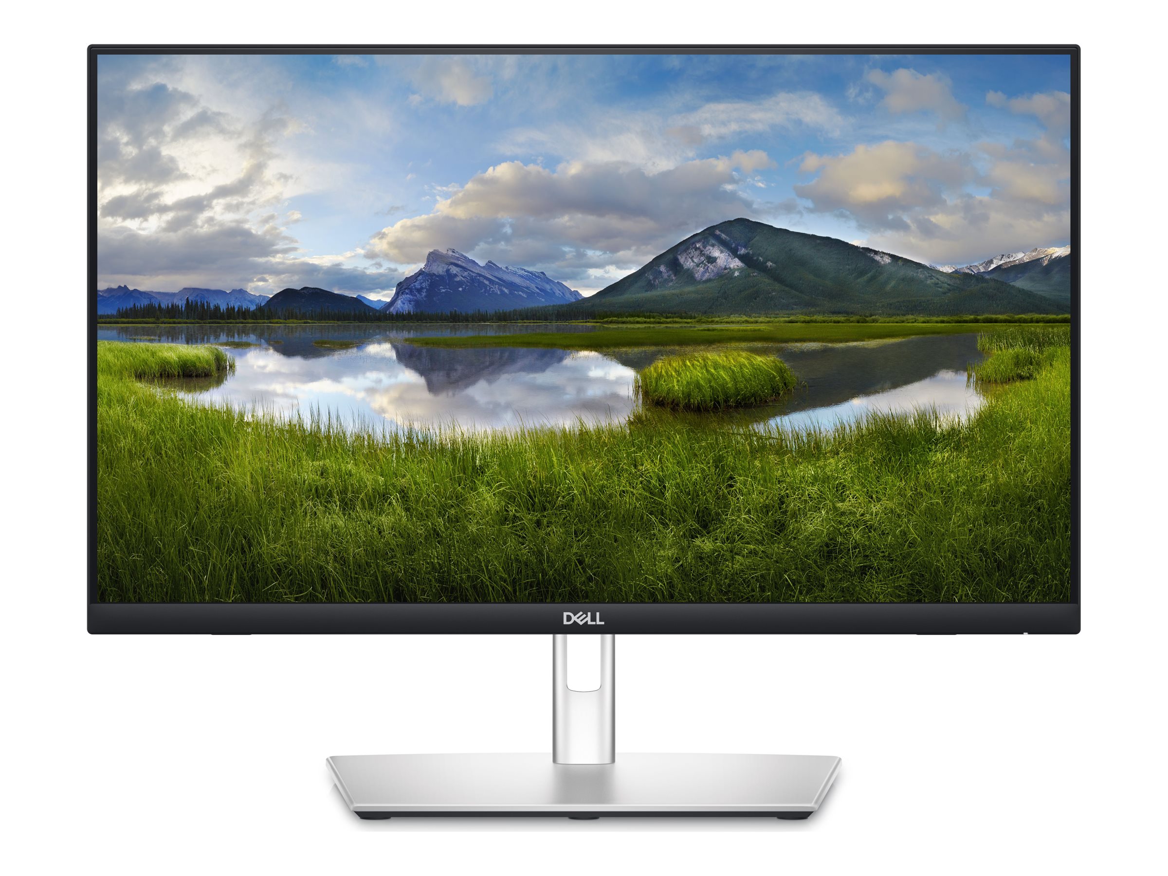 Dell P2424HT - LED-Monitor - 61 cm (24) (23.8 sichtbar)