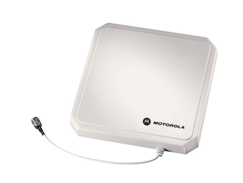 Zebra Antenne