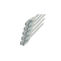 ShiverPeaks RJ45-RJ45 - m-m - 1m - RJ-45 - - mnnlich/m?nnlich - Gold - Cat6 - Kabel - Netzwerk