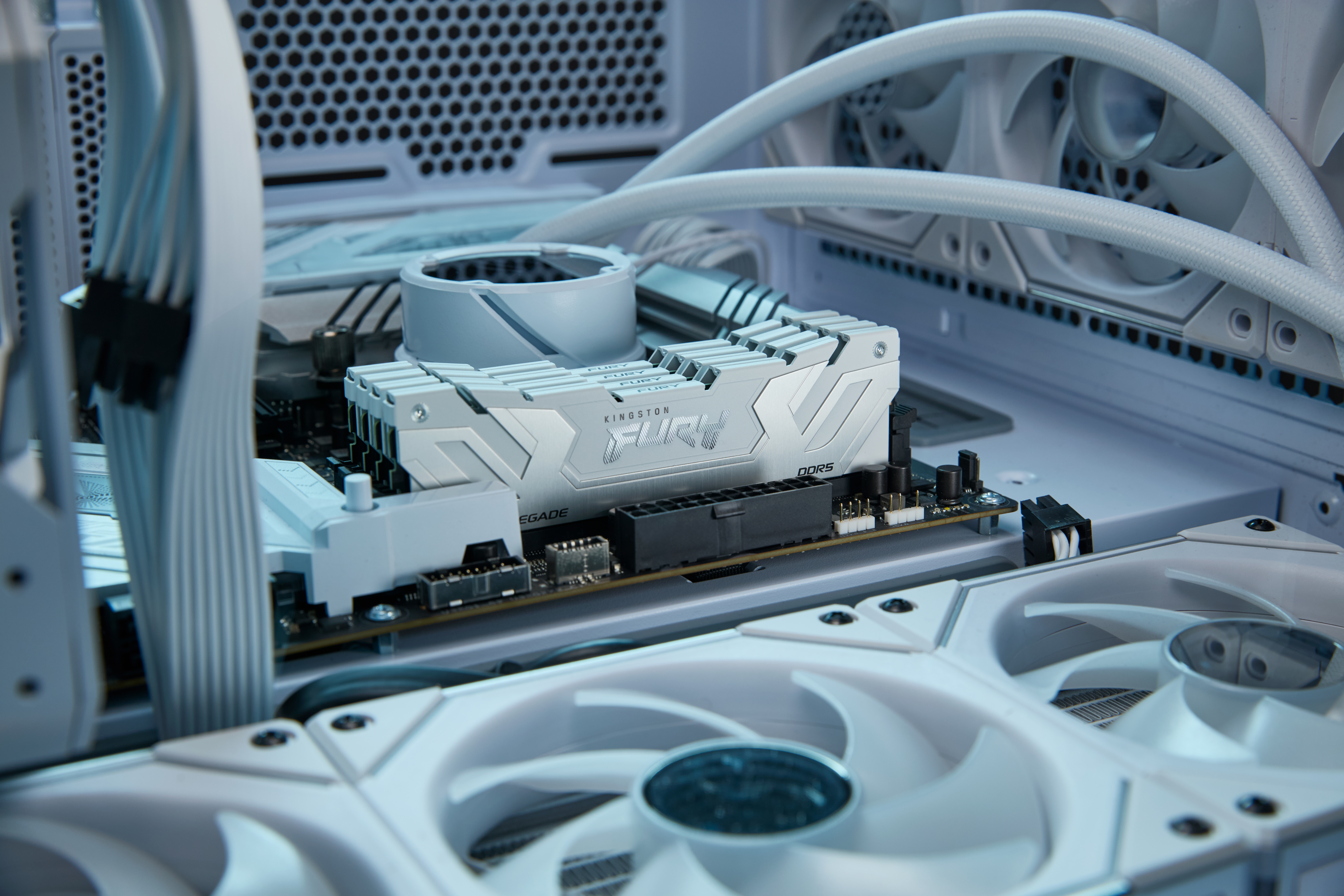 Kingston Technology FURY 24GB 8800MT/s DDR5 CL42 CUDIMM Renegade White