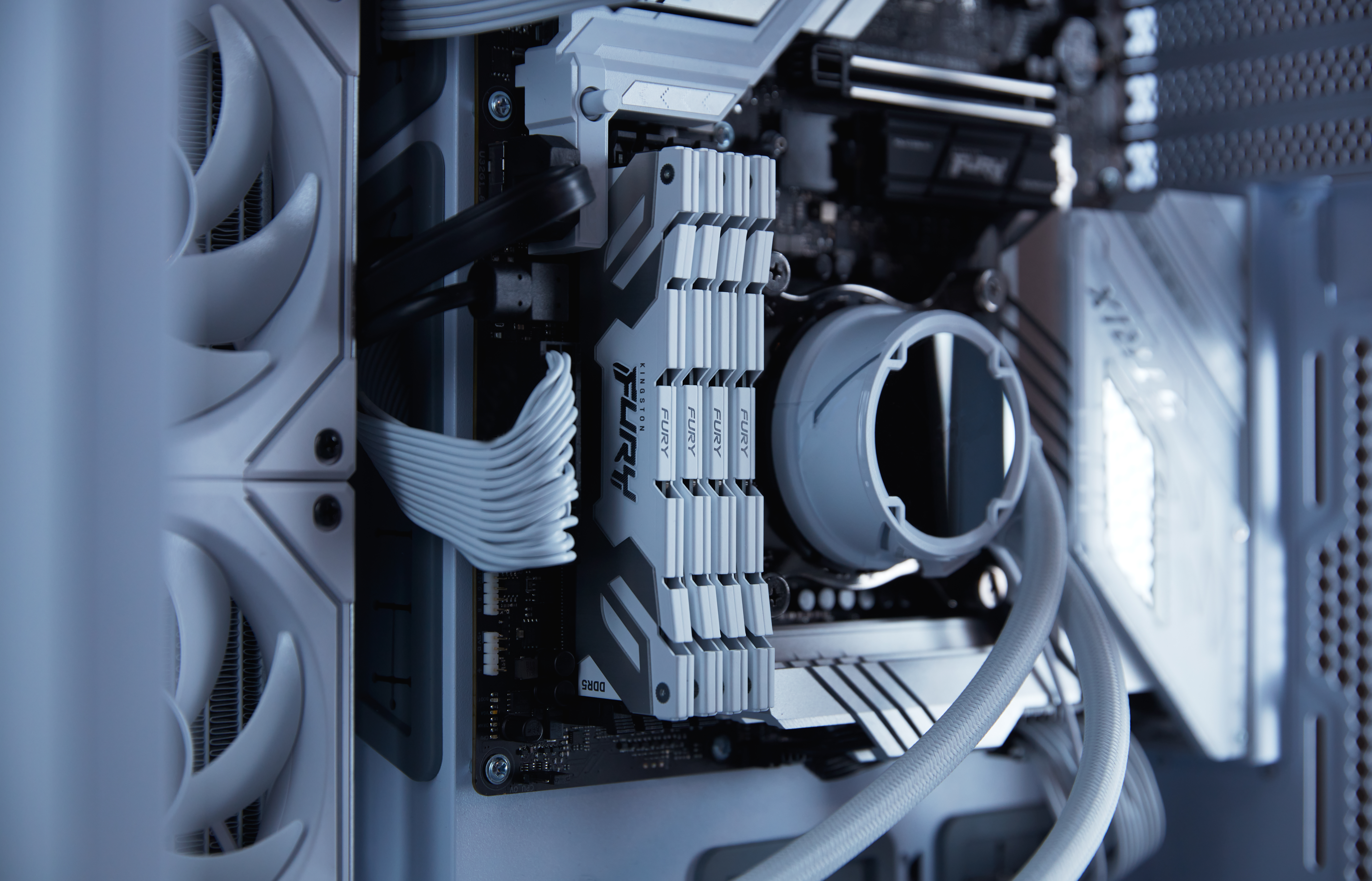 Kingston Technology FURY 24GB 8800MT/s DDR5 CL42 CUDIMM Renegade White