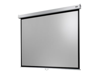 celexon Manual Professional Plus Data format - Leinwand - Deckenmontage m�glich, geeignet f�r Wandmontage - 350 cm (138)