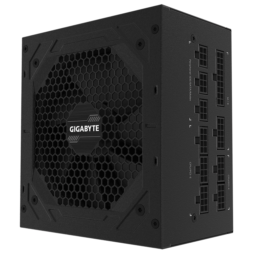 Gigabyte P850GM unidad de fuente de alimentaci�n 850 W 20+4 pin ATX ATX Negro