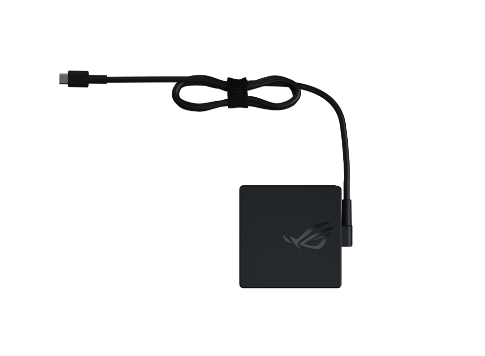 ASUS ROG 100W USB-C Adapter adaptador e inversor de corriente Interior Negro