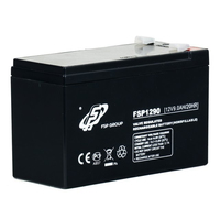 FSP/Fortron 12V9Ah 12 V 9 Ah