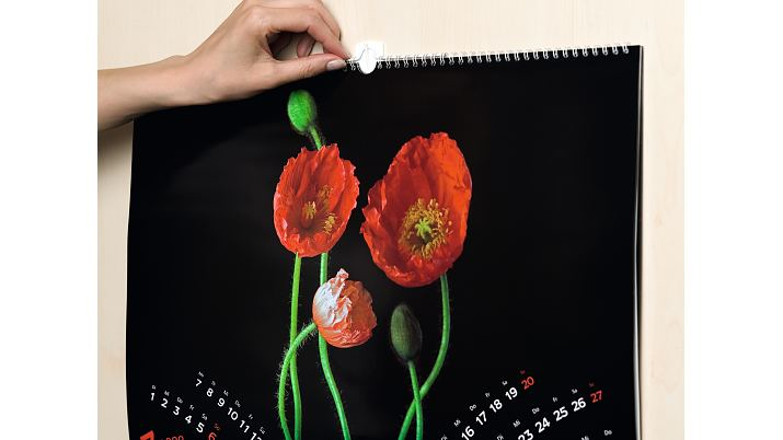 Tesa Powerstrips Bilder-Nagel