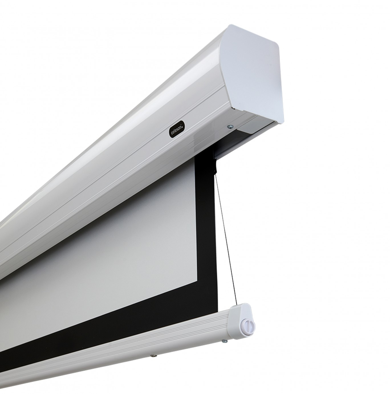 Celexon 1000008932 pantalla de proyecci�n 2,54 m (100)