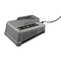Krcher Schnellladegert Battery Power+ 36/60