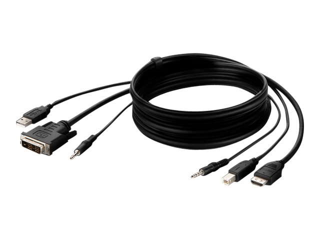 Belkin Secure KVM Combo Cable - Video- / USB- / Audio-Kabel - TAA-konform - USB, Mini-Stecker, DVI-D (M)