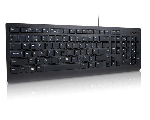 Lenovo Essential - Volle Gre (100%) - Kabelgebunden - USB - Membran Key Switch - QWERTY - Schwarz
