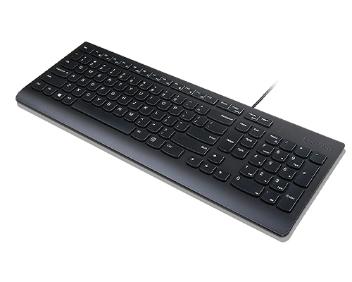 Lenovo Essential - Volle Gre (100%) - Kabelgebunden - USB - Membran Key Switch - QWERTY - Schwarz