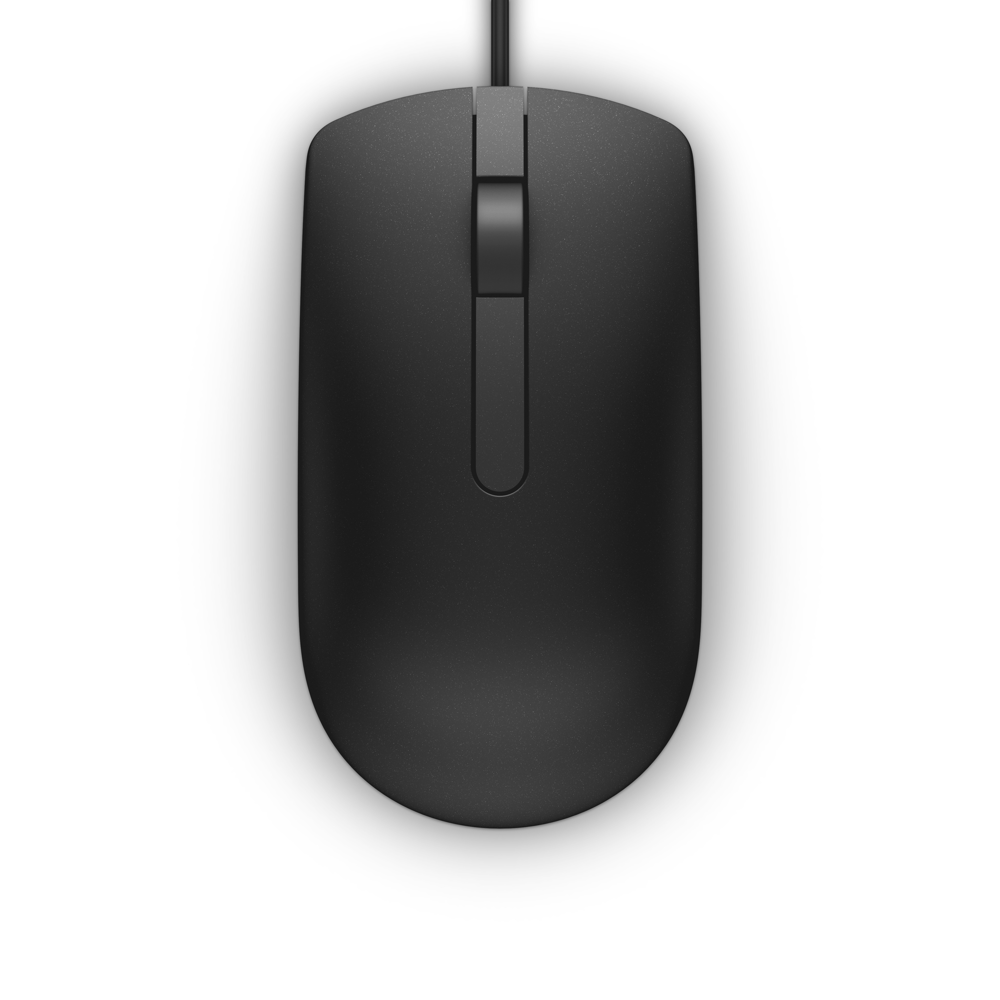 DELL MS116 mouse Ambidestro USB tipo A Ottico 1000 DPI