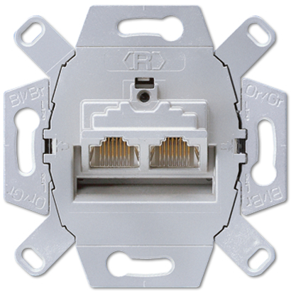 JUNG UAE 8-8 UPOK6 socket-outlet 2 x RJ-45 Grey