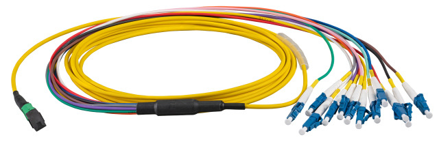 EFB Elektronik MTPF12LCAPC-2 cble de fibre optique 2 m MTP 12x LC OS2 Jaune