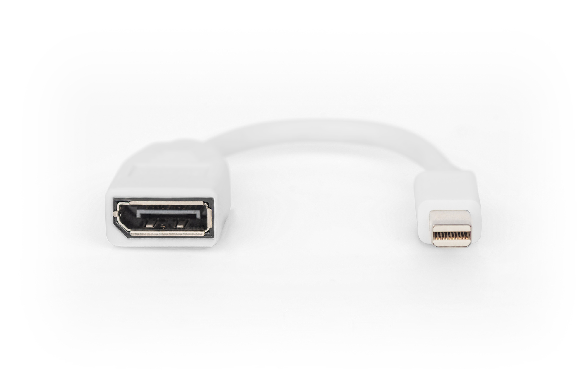 Digitus Cavo adattatore DisplayPort , mini DP - DP