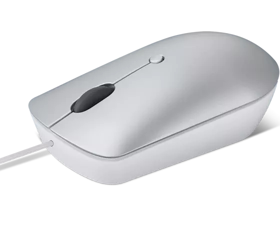 Lenovo 540 souris Bureau Ambidextre USB Type-C Optique