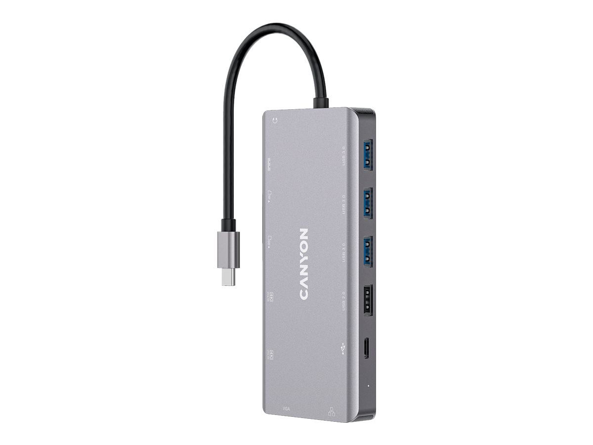 Canyon DS-12 USB 3.2 Gen 1 (3.1 Gen 1) Type-C Grigio