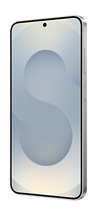 Samsung Galaxy S25 Enterprise Edition 15,8 cm (6.2) Doppia SIM Android 15 5G USB tipo-C 12 GB 256 GB 4000 mAh Argento