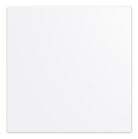 BUSCH JAEGER Abdeckung 1-fach fr Keypad LFW/A.1.63.11-84