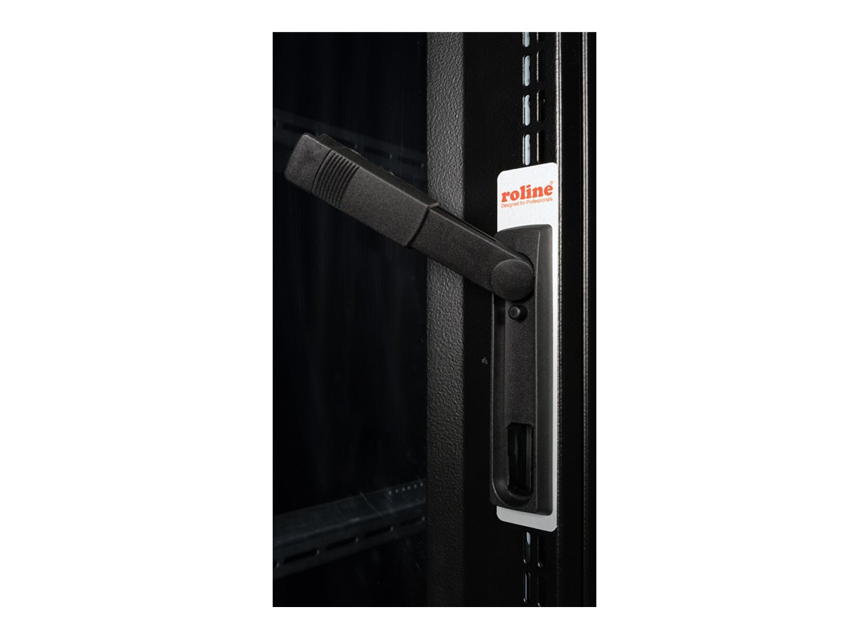ROLINE Pro - Schrank Netzwerkschrank - RAL 9005, Jet Black - 36U - 25.4/48.3 cm (10/19)