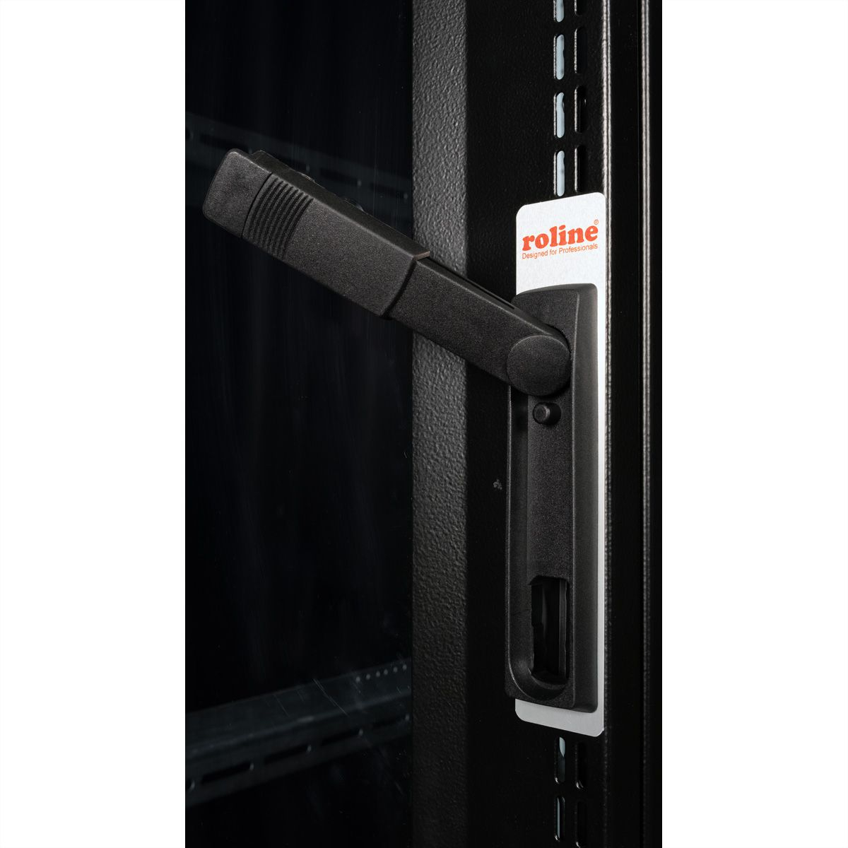 ROLINE Pro - Schrank Netzwerkschrank - RAL 9005, Jet Black - 36U - 25.4/48.3 cm (10/19)