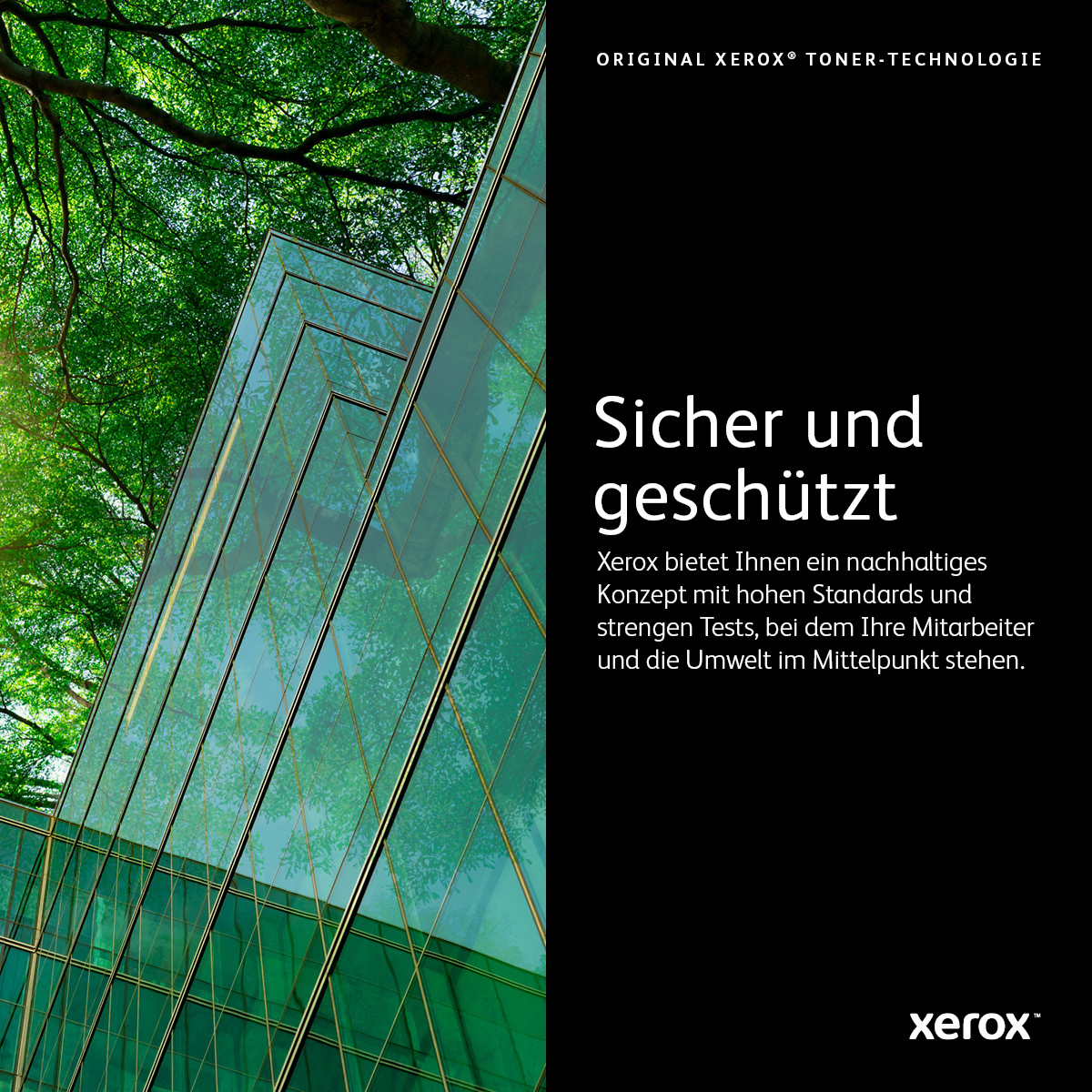 Xerox Cartouche de toner Transparent PrimeLink C9065 / C9070 - 006R01805