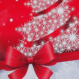 Sigel GT024 carta da regalo Sacchetto regalo