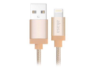 Akasa Lightning-Kabel - USB mnnlich zu Lightning mnnlich