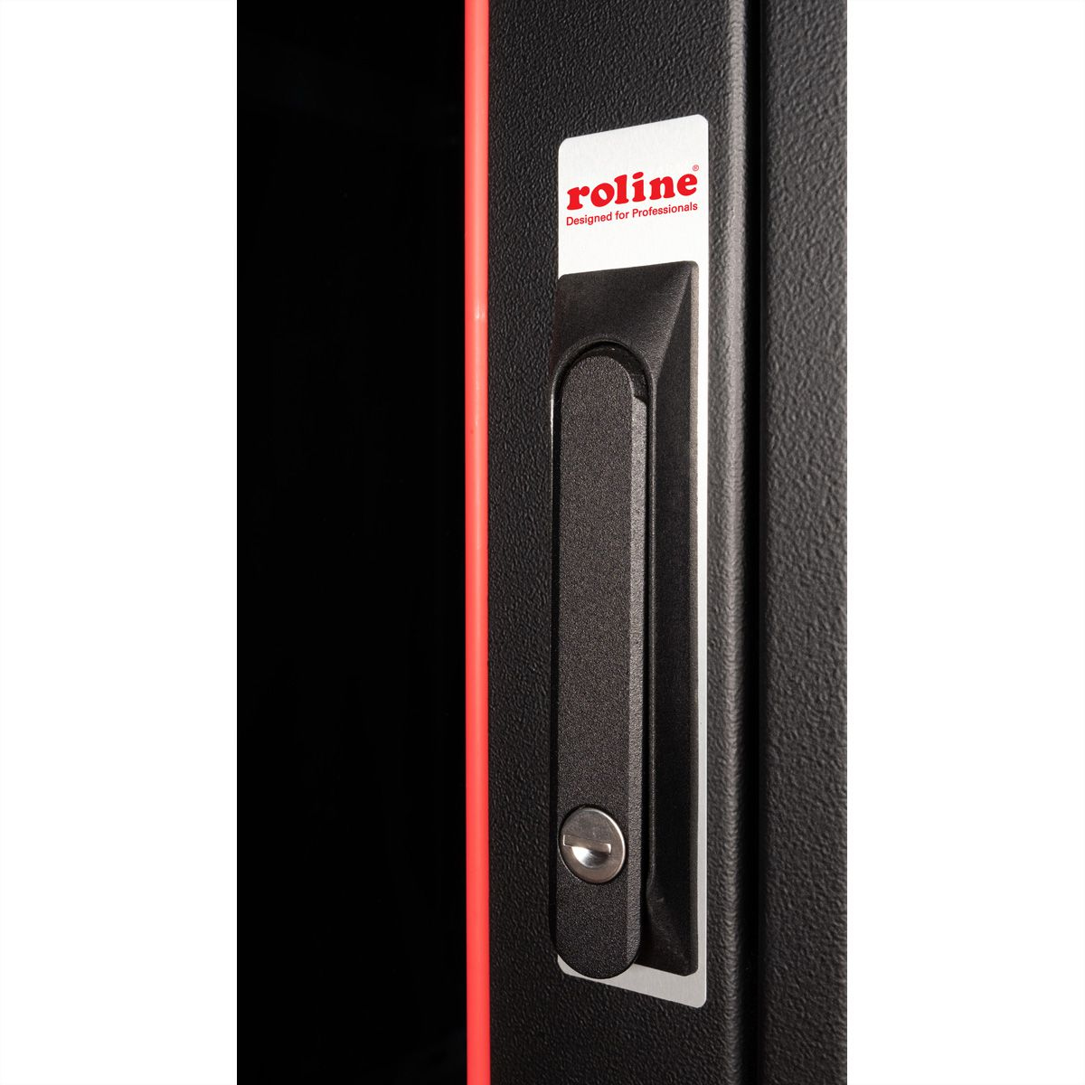 ROLINE Pro - Schrank Netzwerkschrank - RAL 9005, Jet Black - 42HE - 48.3 cm (19)