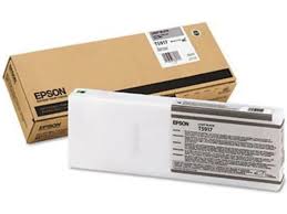 Epson Singlepack Light Black T591700