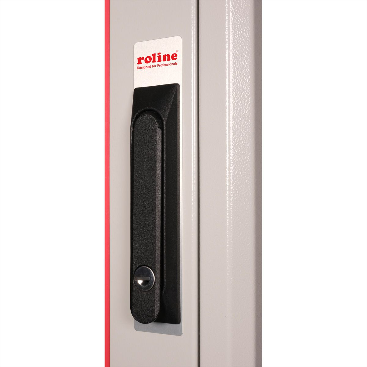ROLINE Basic - Schrank Netzwerkschrank - Glas T�r, 600x800 BxT - RAL 7035, Hellgrau - 32U - 48.3 cm (19)