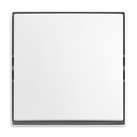 BUSCH JAEGER Wippschalter AP 2601/6 J-524