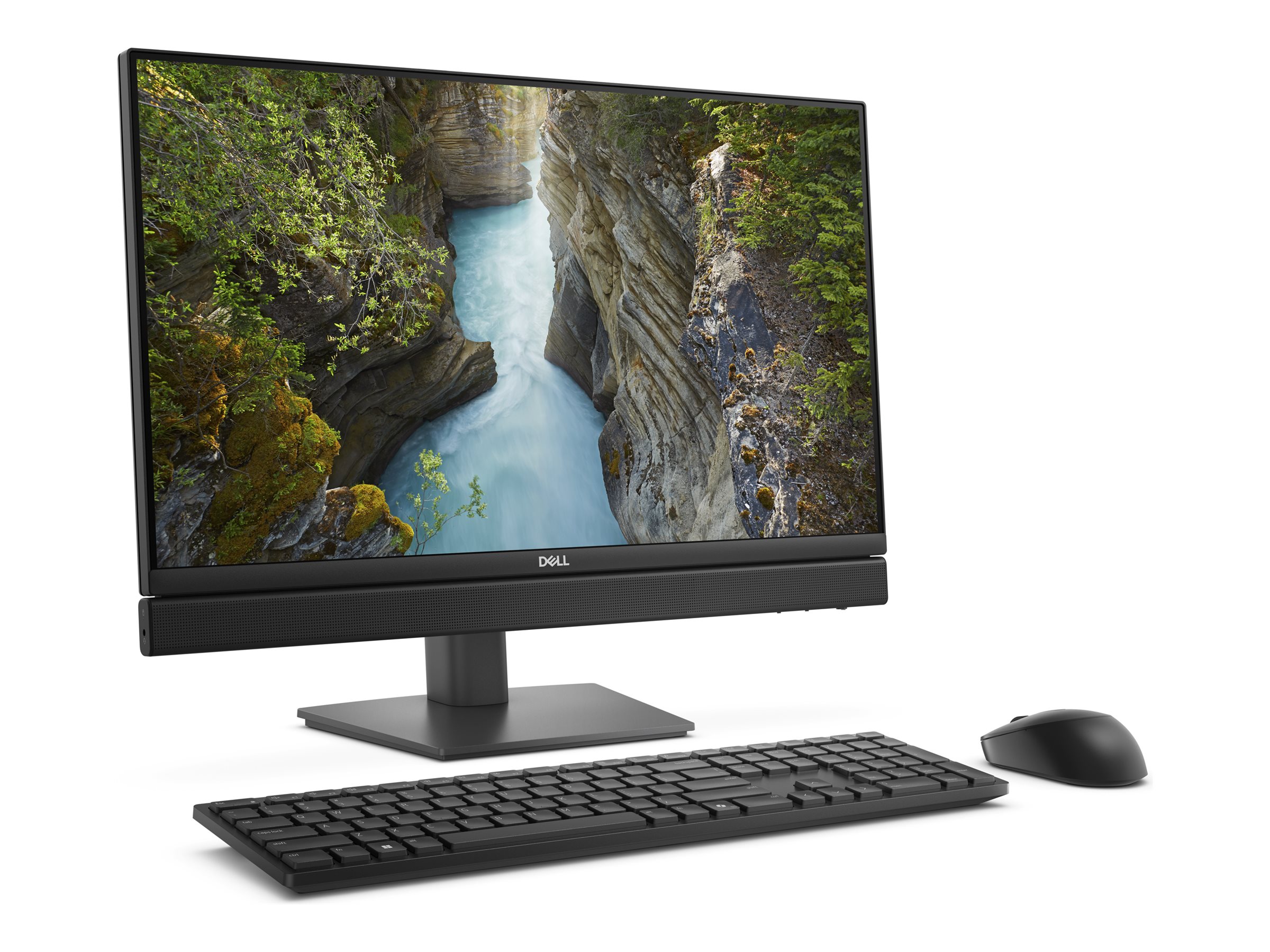 Dell Pro 24 All-in-One QC24251 - All-in-One (Komplettl�sung)