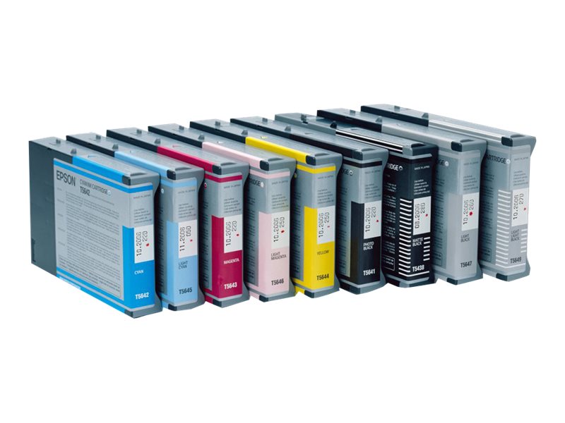 Epson Singlepack Light Black T602700