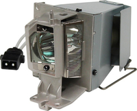 Optoma Projektorlampe - 195 Watt - 5000 Stunde(n)