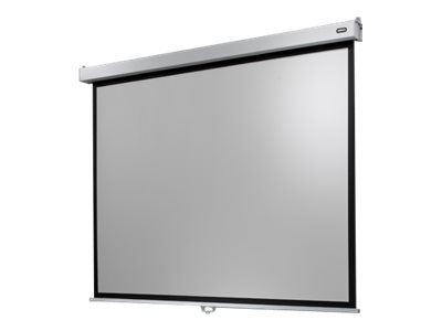 celexon Manual Professional Plus Data format - Leinwand - Deckenmontage m�glich, geeignet f�r Wandmontage - 225 cm (89)