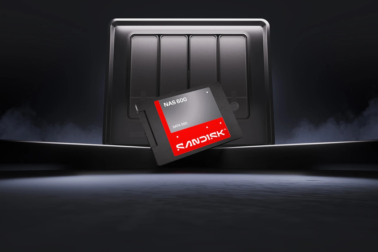 SanDisk NAS 600 500 GB 2.5 Serial ATA III TLC 3D NAND