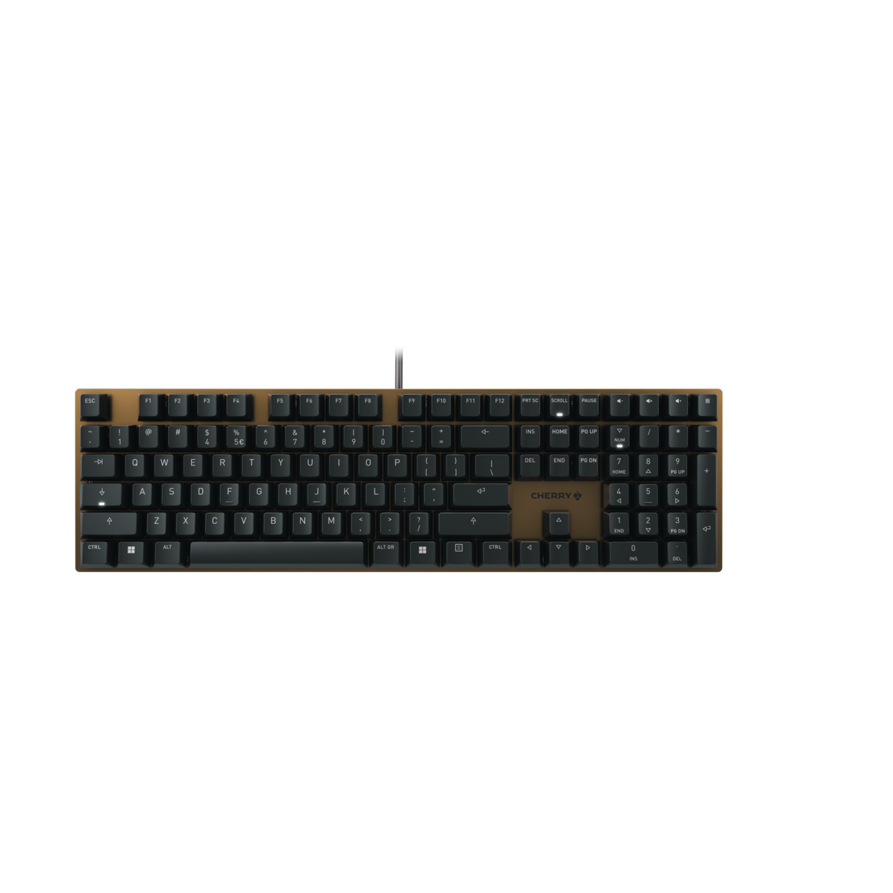 CHERRY KC 200 MX teclado USB QWERTY Ingls Negro, Bronce