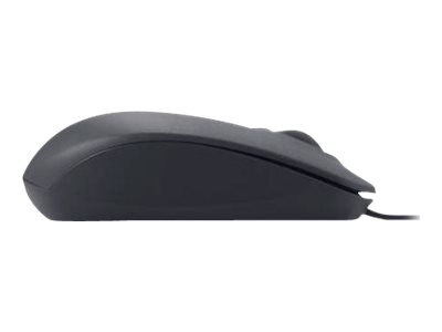 DELL USB Optical Mouse - MS111 - black