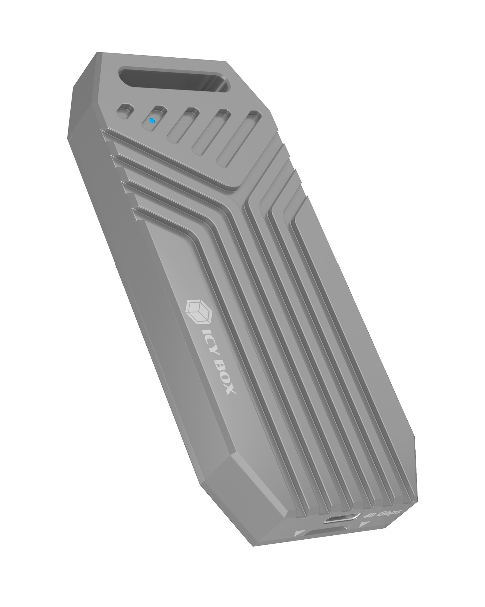 ICY BOX IB-1919M-C42 SSD enclosure Silver M.2
