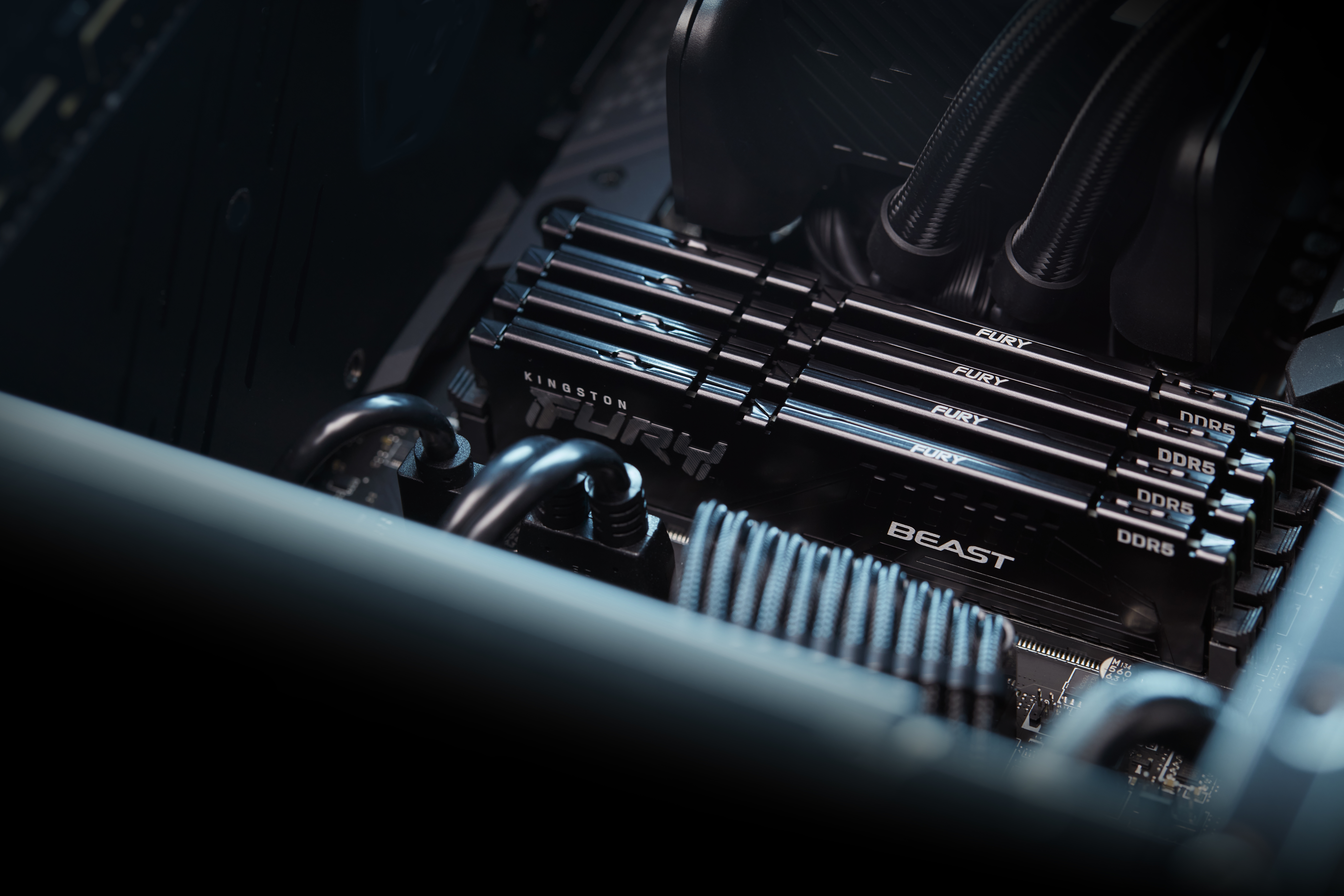 Kingston FURY Beast - DDR5 - Modul - 64 GB - DIMM 288-PIN