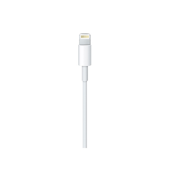 Apple MKQ42ZM 2 m Blanc