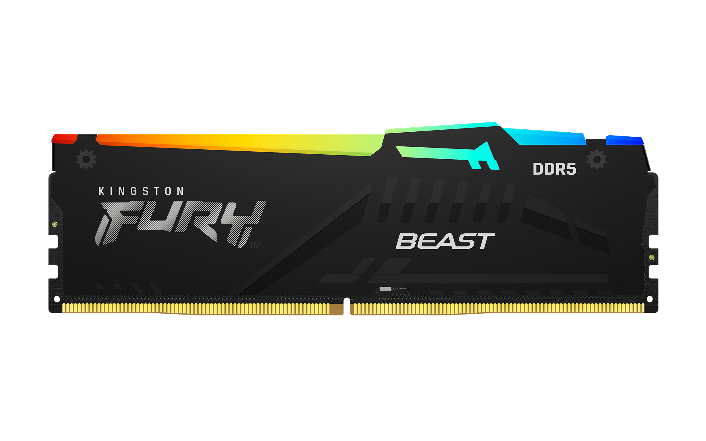 Kingston Technology FURY Beast 16 Go 5600 MT/s DDR5 CL36 DIMM RGB