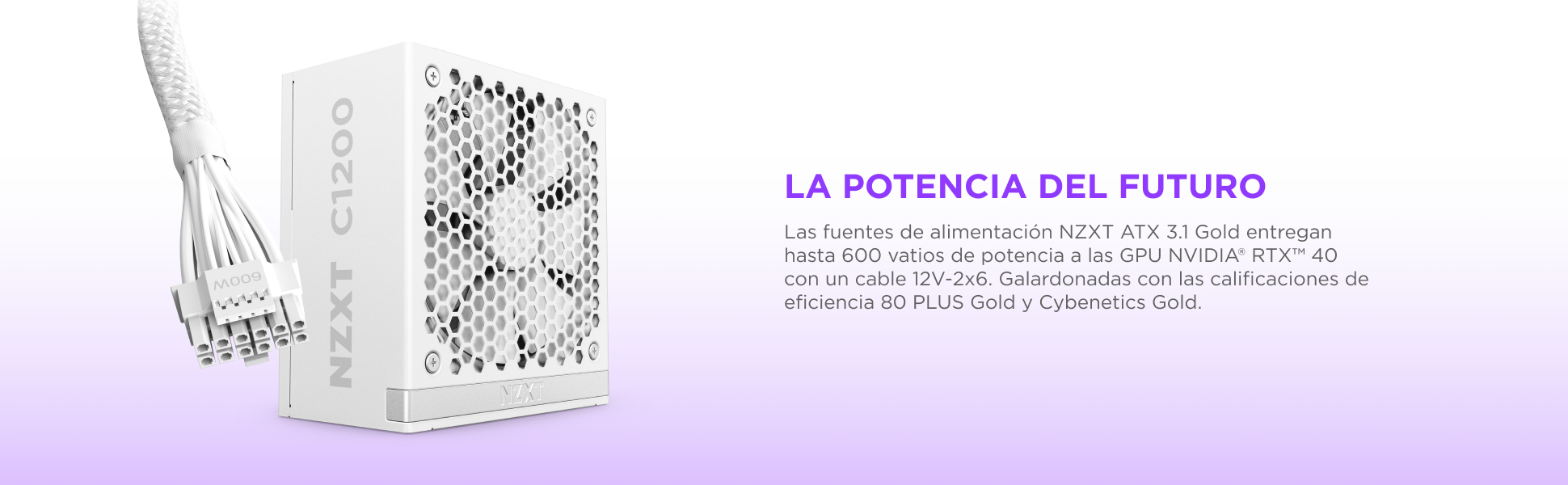 NZXT C1200 Gold ATX 3.1 unit� dalimentation d�nergie 1200 W 24-pin ATX Noir