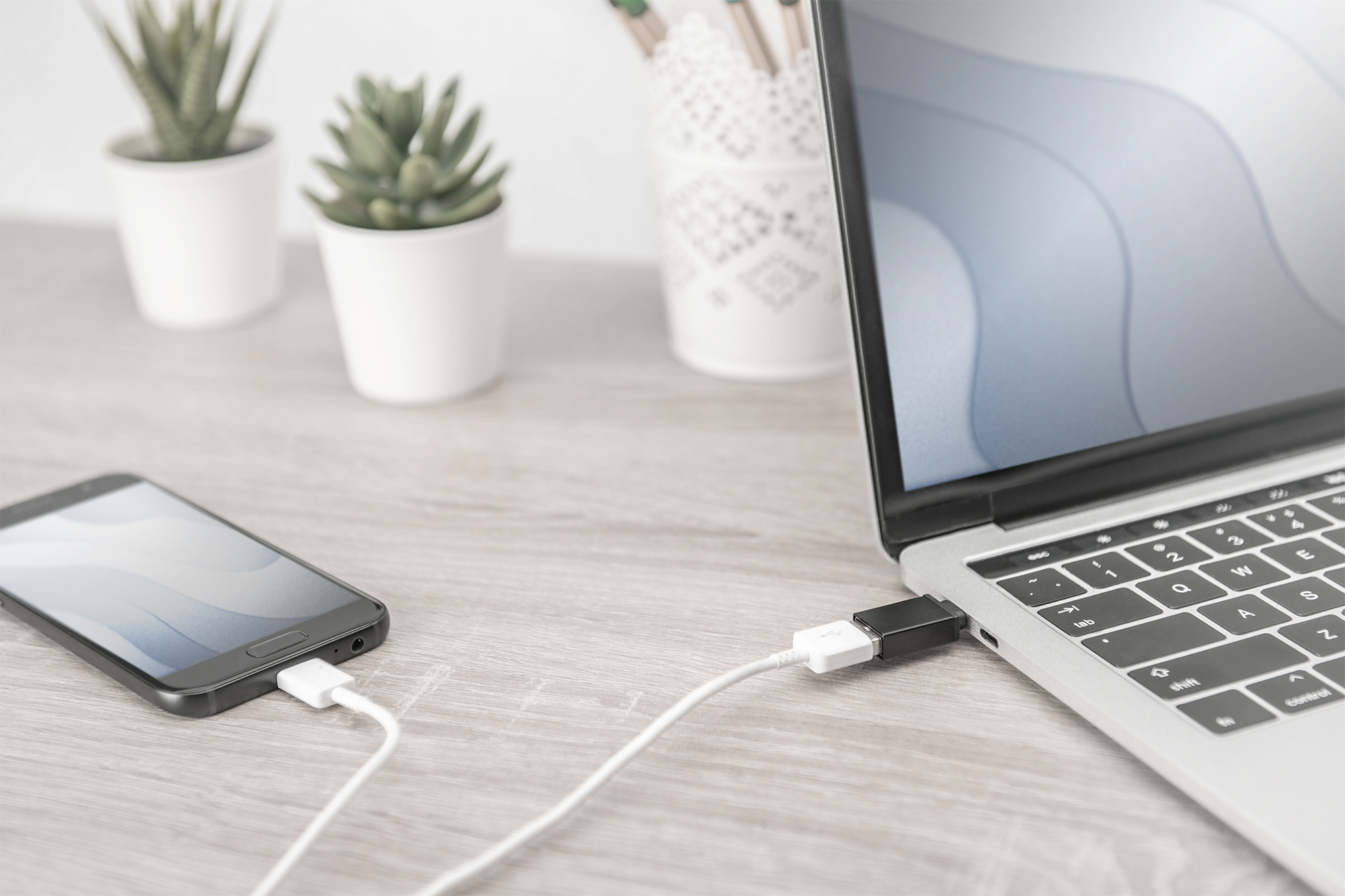 Digitus AK-300506-000-S adattatore per inversione del genere dei cavi USB C USB A Nero