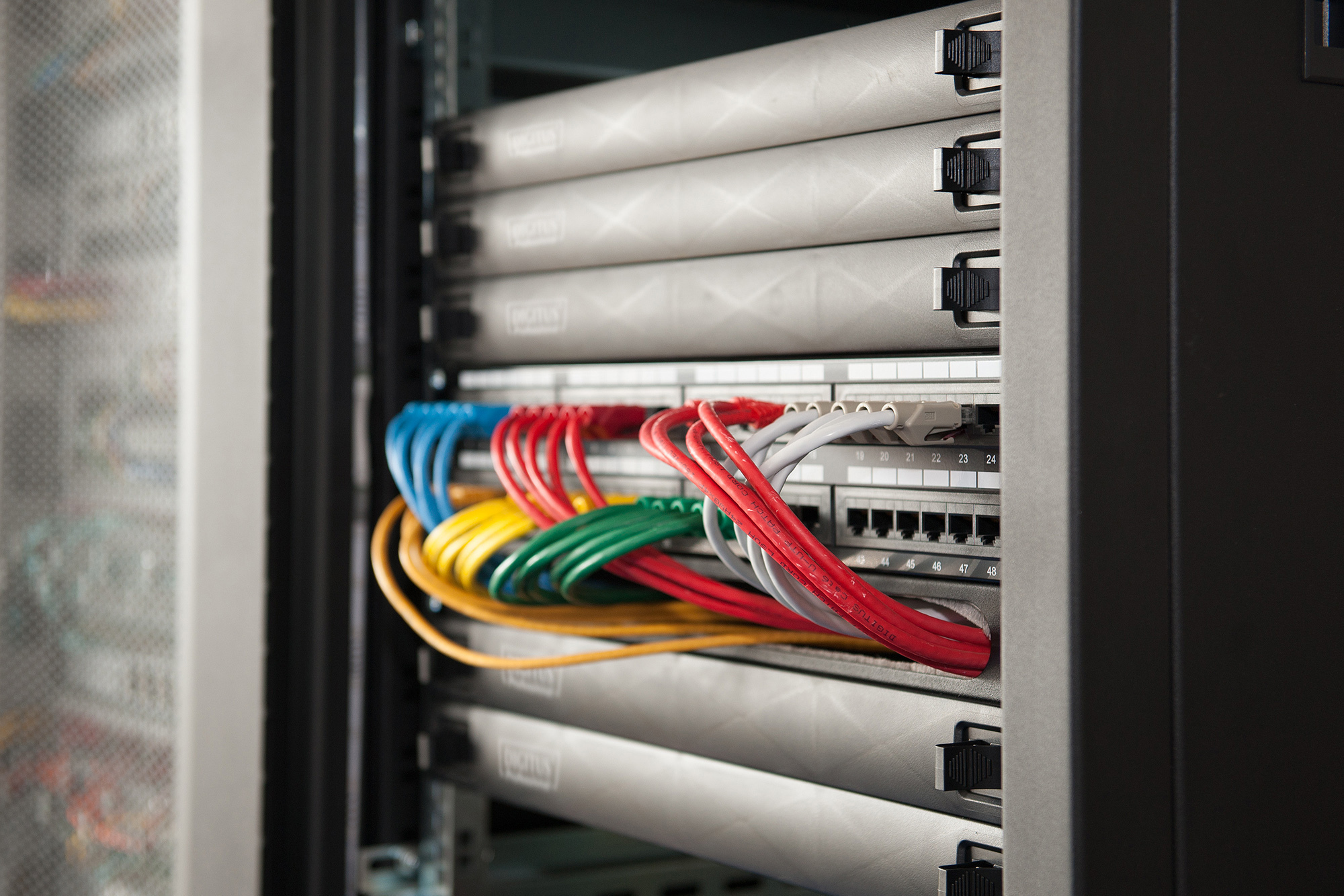 Digitus 1U copertura cieca, a scatto, per rack di rete e server