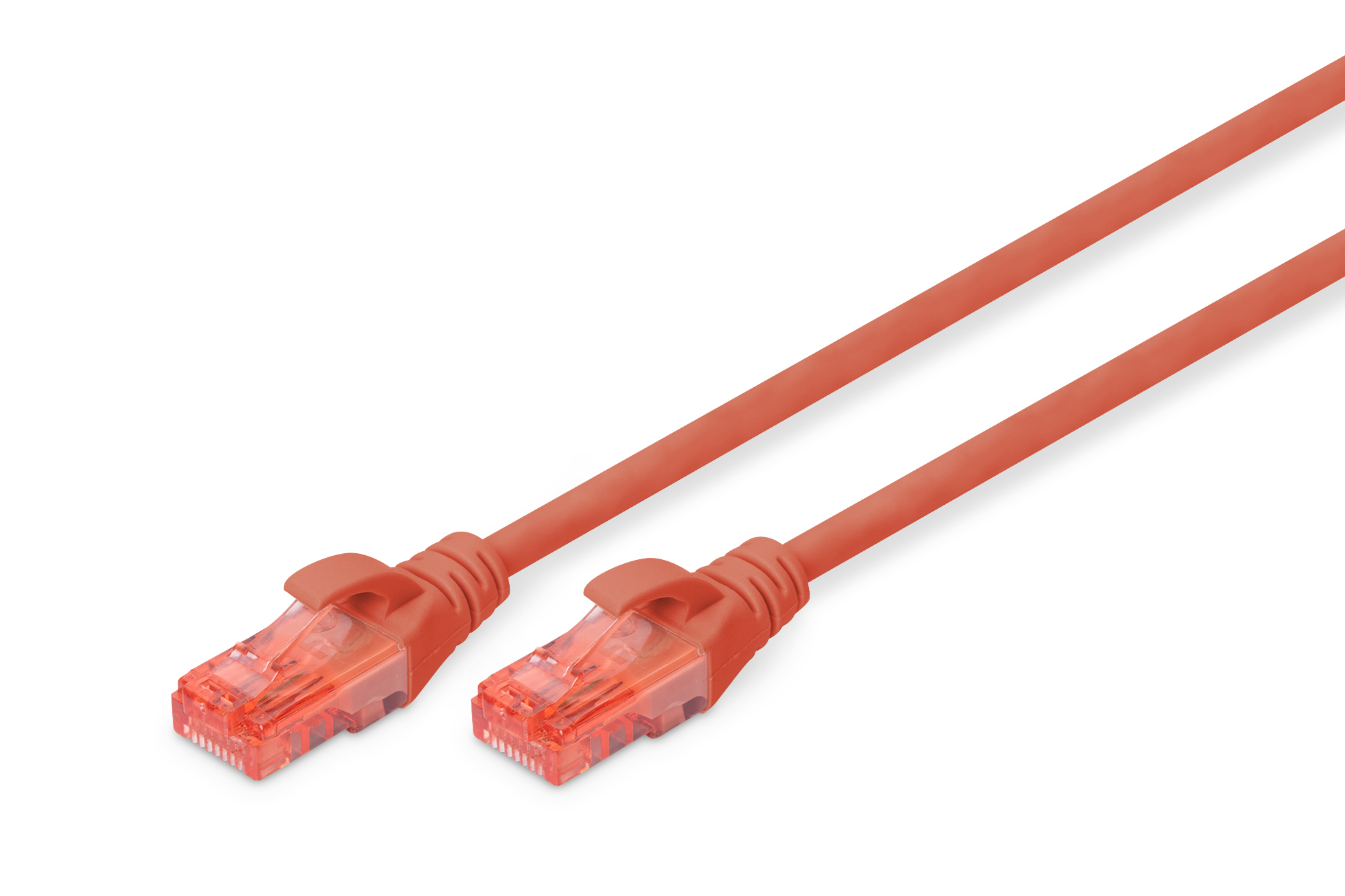 Digitus Cable de conexin CAT 6 U-UTP